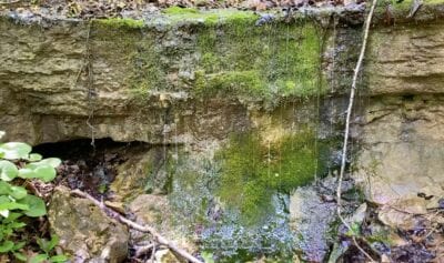 Owner Financed Hunting and Recreational Land in Missouri and Arkansas