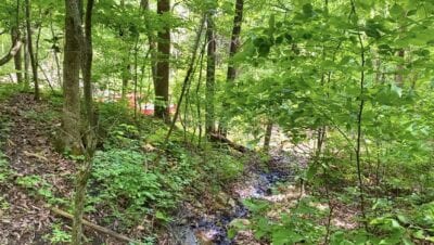 Owner Financed Hunting and Recreational Land in Missouri and Arkansas