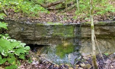 Owner Financed Hunting and Recreational Land in Missouri and Arkansas