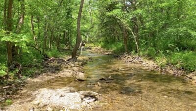 Owner Financed Hunting and Recreational Land in Missouri and Arkansas