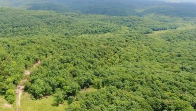 Owner Financed Hunting and Recreational Land in Missouri and Arkansas