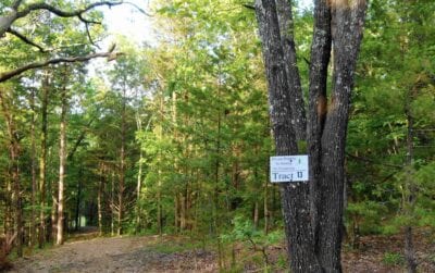 Owner Financed Hunting and Recreational Land in Missouri and Arkansas