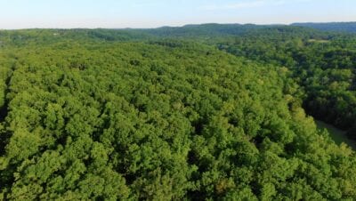 Owner Financed Hunting and Recreational Land in Missouri and Arkansas
