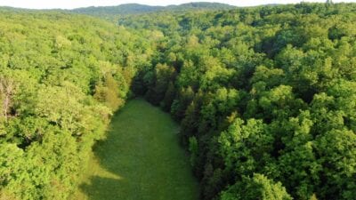 Owner Financed Hunting and Recreational Land in Missouri and Arkansas