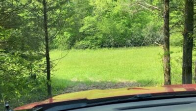 Owner Financed Hunting and Recreational Land in Missouri and Arkansas