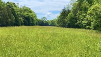 Owner Financed Hunting and Recreational Land in Missouri and Arkansas