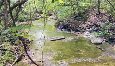 Owner Financed Hunting and Recreational Land in Missouri and Arkansas