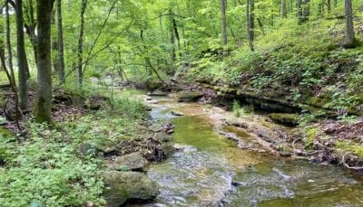 Owner Financed Hunting and Recreational Land in Missouri and Arkansas