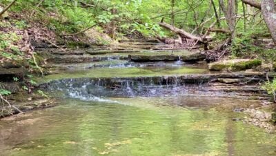 Owner Financed Hunting and Recreational Land in Missouri and Arkansas