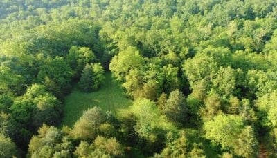 Owner Financed Hunting and Recreational Land in Missouri and Arkansas
