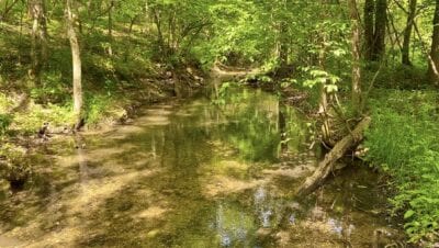 Owner Financed Hunting and Recreational Land in Missouri and Arkansas