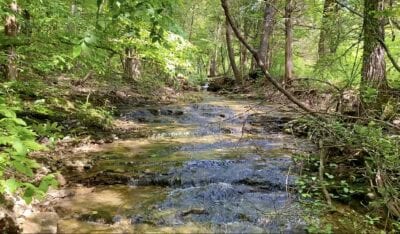Owner Financed Hunting and Recreational Land in Missouri and Arkansas