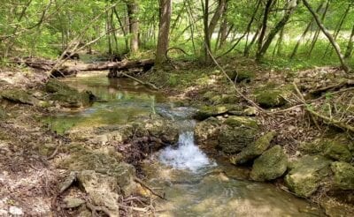Owner Financed Hunting and Recreational Land in Missouri and Arkansas