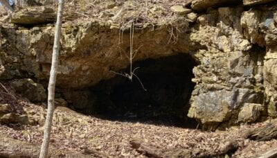 Owner Financed Hunting and Recreational Land in Missouri and Arkansas