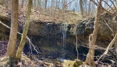 Owner Financed Hunting and Recreational Land in Missouri and Arkansas