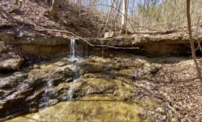 Owner Financed Hunting and Recreational Land in Missouri and Arkansas