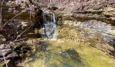 Owner Financed Hunting and Recreational Land in Missouri and Arkansas