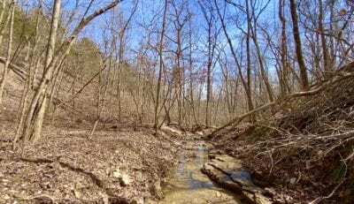 Owner Financed Hunting and Recreational Land in Missouri and Arkansas