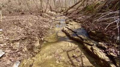 Owner Financed Hunting and Recreational Land in Missouri and Arkansas