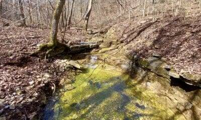 Owner Financed Hunting and Recreational Land in Missouri and Arkansas
