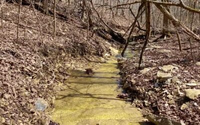 Owner Financed Hunting and Recreational Land in Missouri and Arkansas