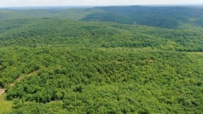 Owner Financed Hunting and Recreational Land in Missouri and Arkansas