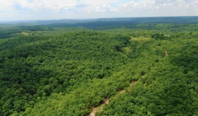 Owner Financed Hunting and Recreational Land in Missouri and Arkansas