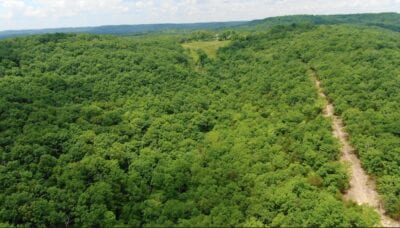 Owner Financed Hunting and Recreational Land in Missouri and Arkansas