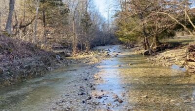 Owner Financed Hunting and Recreational Land in Missouri and Arkansas