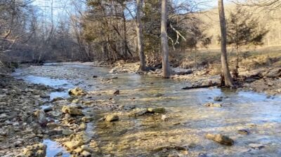 Owner Financed Hunting and Recreational Land in Missouri and Arkansas