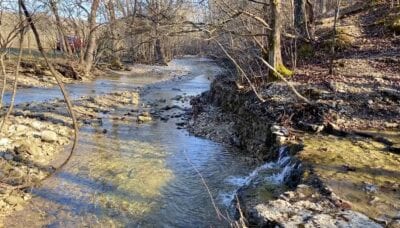 Owner Financed Hunting and Recreational Land in Missouri and Arkansas