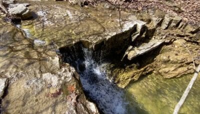 Owner Financed Hunting and Recreational Land in Missouri and Arkansas