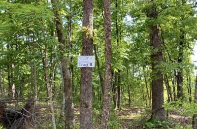 Owner Financed Hunting and Recreational Land in Missouri and Arkansas