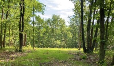Owner Financed Hunting and Recreational Land in Missouri and Arkansas