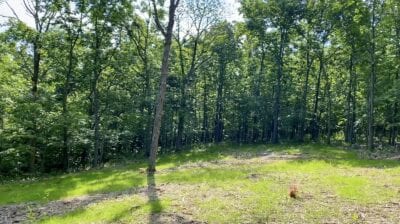Owner Financed Hunting and Recreational Land in Missouri and Arkansas