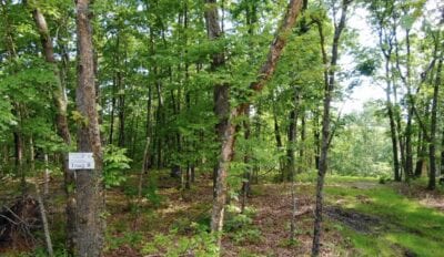 Owner Financed Hunting and Recreational Land in Missouri and Arkansas