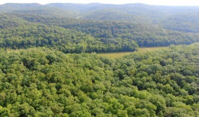 Owner Financed Hunting and Recreational Land in Missouri and Arkansas