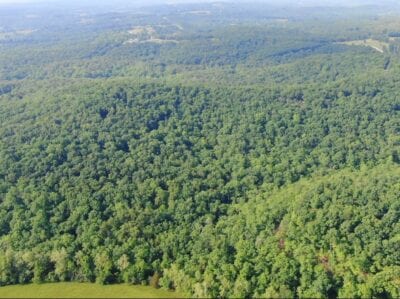 Owner Financed Hunting and Recreational Land in Missouri and Arkansas