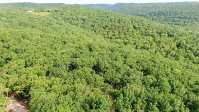 Owner Financed Hunting and Recreational Land in Missouri and Arkansas
