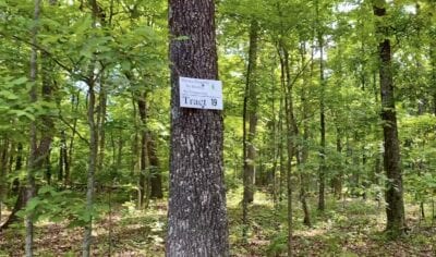Owner Financed Hunting and Recreational Land in Missouri and Arkansas