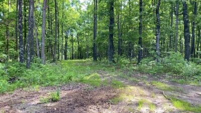 Owner Financed Hunting and Recreational Land in Missouri and Arkansas