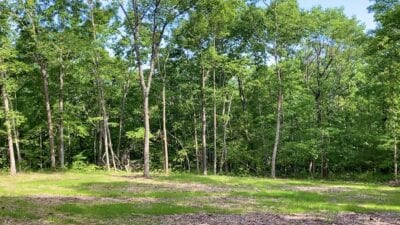 Owner Financed Hunting and Recreational Land in Missouri and Arkansas