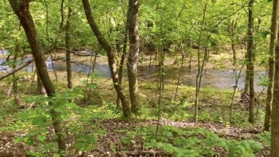 Owner Financed Hunting and Recreational Land in Missouri and Arkansas