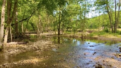 Owner Financed Hunting and Recreational Land in Missouri and Arkansas