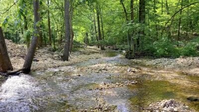 Owner Financed Hunting and Recreational Land in Missouri and Arkansas