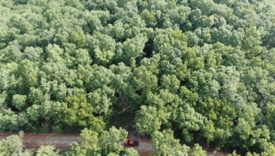 Owner Financed Hunting and Recreational Land in Missouri and Arkansas