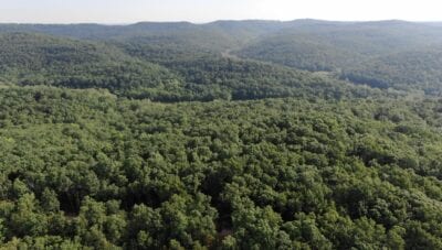 Owner Financed Hunting and Recreational Land in Missouri and Arkansas