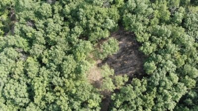 Owner Financed Hunting and Recreational Land in Missouri and Arkansas