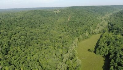 Owner Financed Hunting and Recreational Land in Missouri and Arkansas