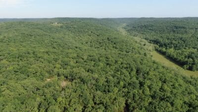 Owner Financed Hunting and Recreational Land in Missouri and Arkansas